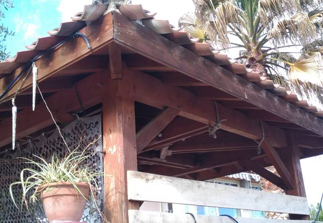 charpente terrasse